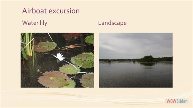 Slide05