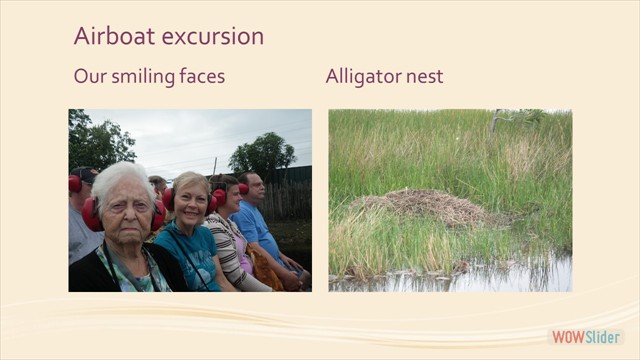 Slide06