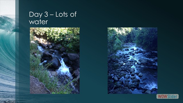 Slide15