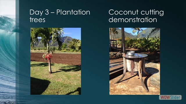 Slide17