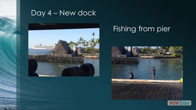 Slide26