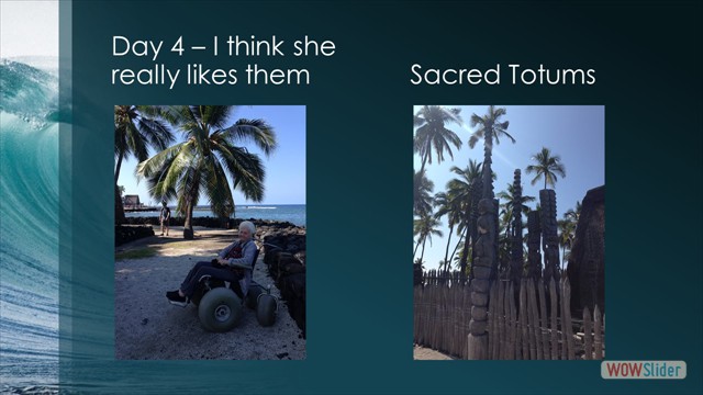 Slide29