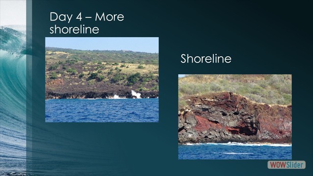 Slide31