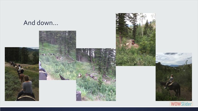 Slide33