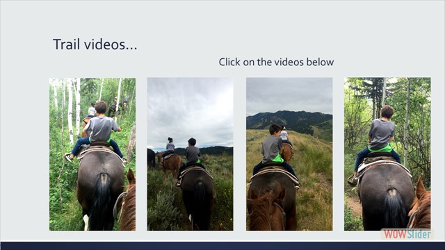 Slide34
