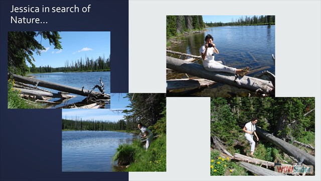 Slide47