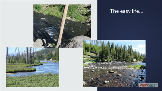 Slide53