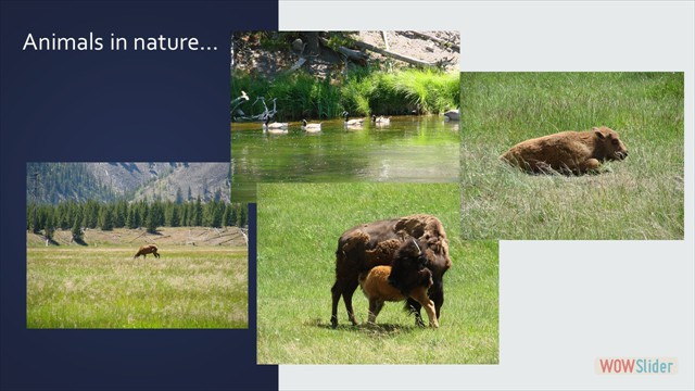 Slide55