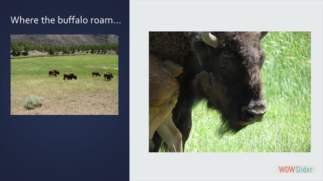 Slide57