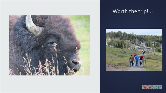 Slide64